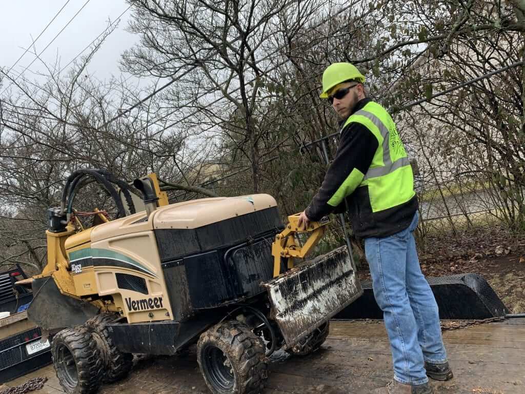 Professional Stump Removal